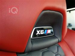 بي ام دبليو X6